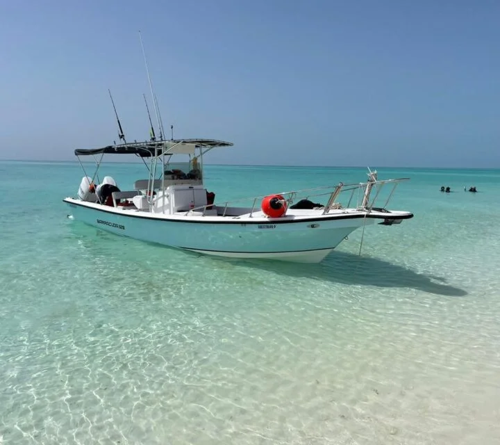 Yamaha Boats 222S 2020 · Lancha