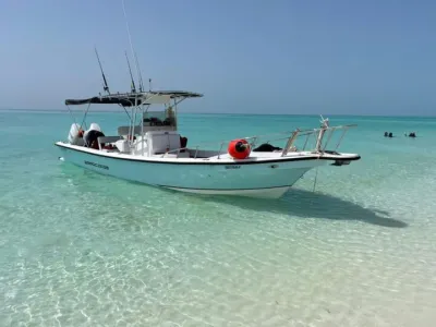 Yamaha Boats 222S 2020 · Lancha